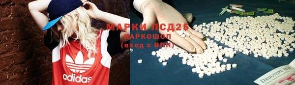 спайс Бородино