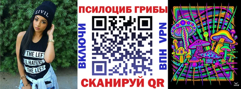 купить наркотик  Кизляр  Псилоцибиновые грибы Psilocybe 